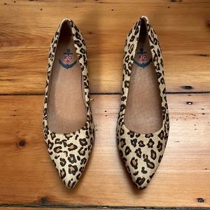Jeffery Campbell leopard hair shoe